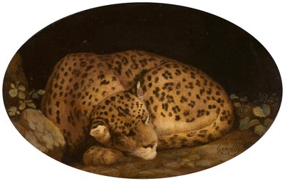 眠るヒョウ、1777年。 作： George Stubbs