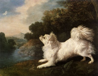 蝶を追う画家コスウェイのスパニエル、1775 作： George Stubbs