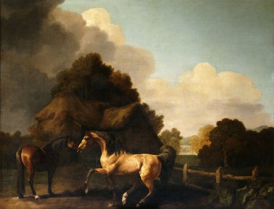 スタリオンとマーレ、伝統的に「ジュピターとマーレ」と呼ばれる 作： George Stubbs