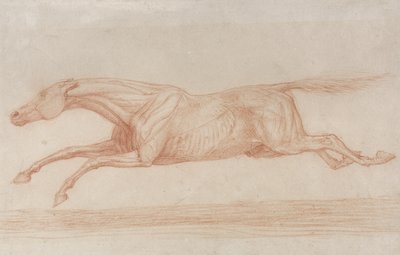 競走馬の行動の研究：左にギャロッピング（バフ紙に赤いチョーク） 作： George Stubbs