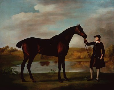 新郎とマルバラ湾ハンターの公爵 (キャンバスに油彩) 作： George Stubbs