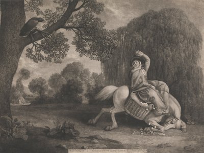 アーティスト、パブによって刻まれた農夫の妻とワタリガラス。 1788（123112も参照） 作： George Stubbs