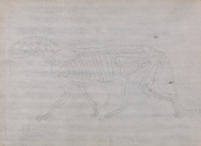 Tiger Body, Lateral View   1433913   ja       japanese Successfully Translated  Original: French Soldiers in the Trenches, Chemin des Dames Translat: French Soldiers in the Trenches, Chemin des Dames 1456504 ja japanese Successfully Translated Original: Be 作： George Stubbs