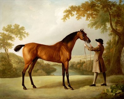 広大な風景の中で花婿が抱く競馬場、トリストラムシャンディ、1760年頃 作： George Stubbs