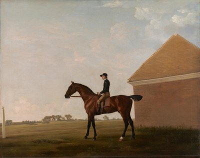 Turf, with Jockey up, at Newmarket   1432383   ja       japanese Successfully Translated  Original: Tetra neon ou neon bleu - Neon tetra (Paracheirodon innesi) Translat: Tetra neon ou neon bleu - Neon tetra (Paracheirodon innesi) 1439167 ja japanese Succes 作： George Stubbs
