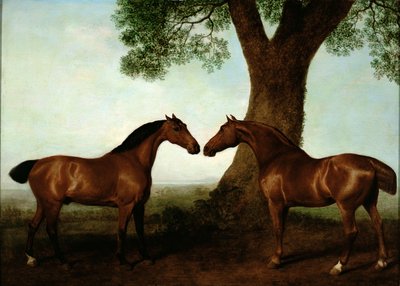 木に囲まれた2つのベイハンター、1786年 作： George Stubbs