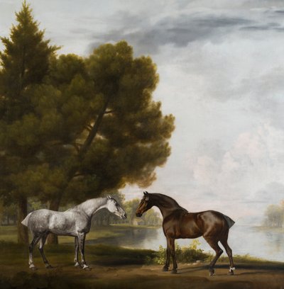 風景の中で交信する2頭の馬、1765〜80年頃（キャンバスに油彩） 作： George Stubbs