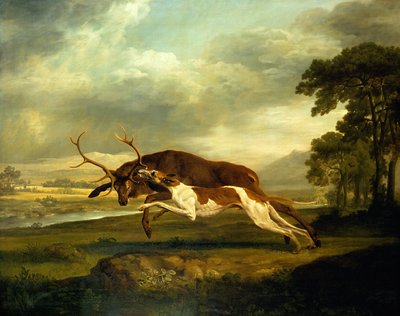 不明な画像 作： George Stubbs