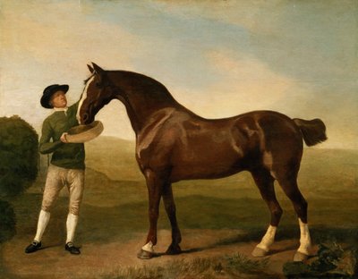 不明な画像 作： George Stubbs