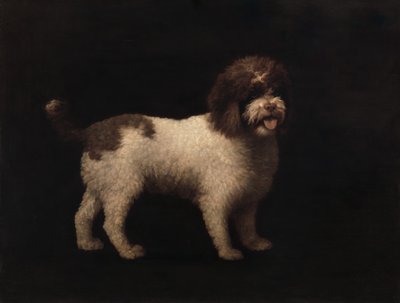ウォーター・スパニエル、1769年。 作： George Stubbs