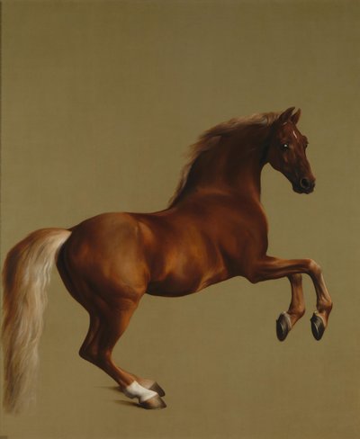 ホイッスルジャケット 作： George Stubbs