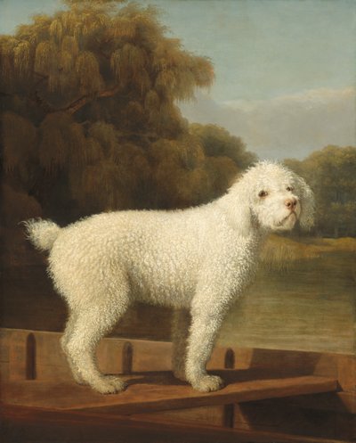 パントの白いプードル、1780年頃 作： George Stubbs