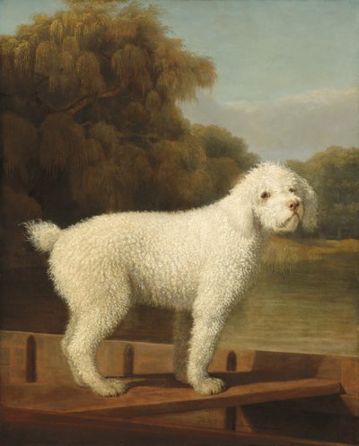 パントの白いプードル、c。 1780年。 作： George Stubbs