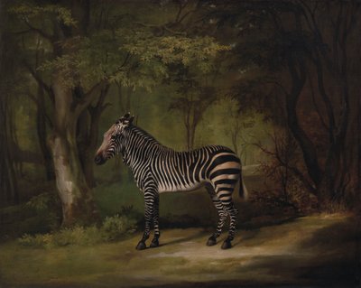 シマウマ 作： George Stubbs