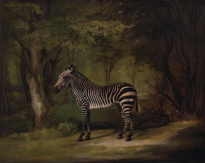 ゼブラ、1763年出品。 作： George Stubbs