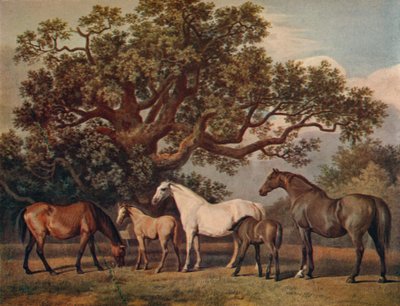 繁殖牝馬と子馬、18世紀後半、1922年 作： George Townley Stubbs