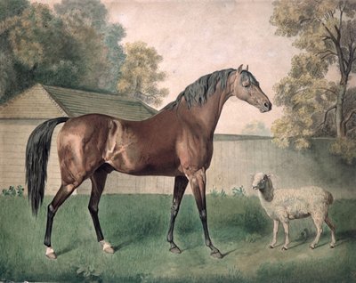 ダンガンノン」（水彩・紙 作： George Townley Stubbs