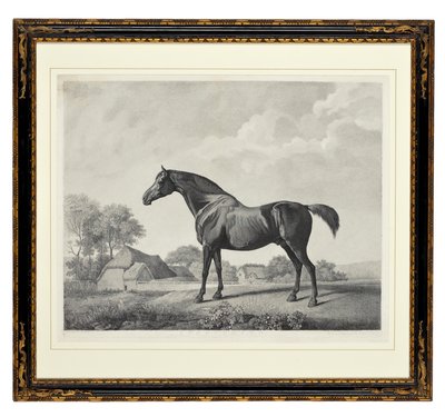 スウィートブライアー（点刻） 作： George Townley Stubbs