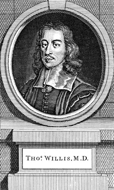 トーマスウィリス、17世紀イギリスの医師、1742年 作： George Vertue