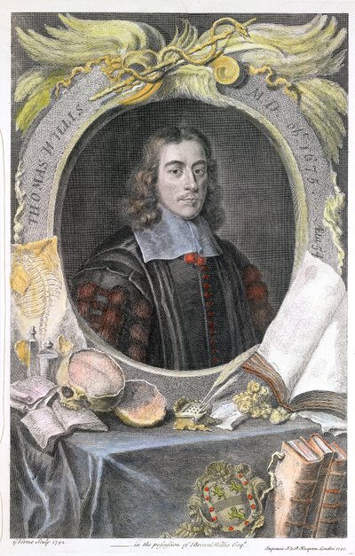 トーマスウィリス、17世紀イギリスの医師、1742年 作： George Vertue