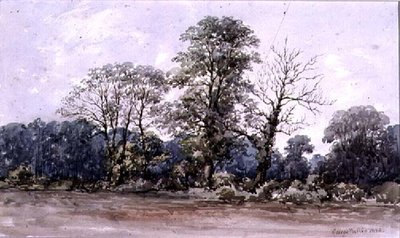 19世紀のバーミンガム近くのペリーバーの木 作： George Augustus Wallis