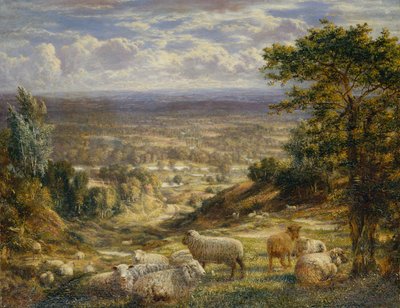 羊のいる夏の風景 作： George William Mote