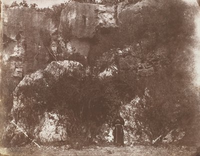 セルビアの庭、シラクサ、シチリア、1846年。 作： George Wilson Bridges