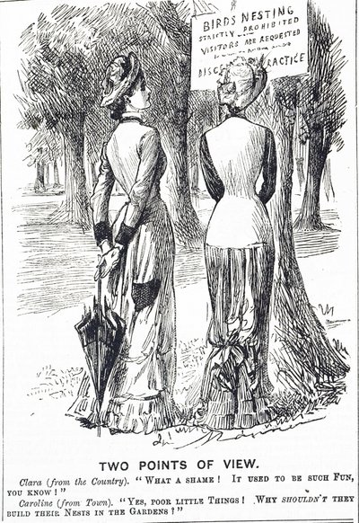 1880年鳥獣保護法を解説した漫画 作： George du Maurier