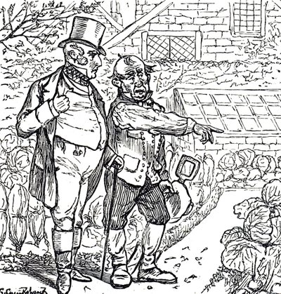 紳士が庭師と一緒に野菜畑にいる様子を描いた漫画 作： George du Maurier