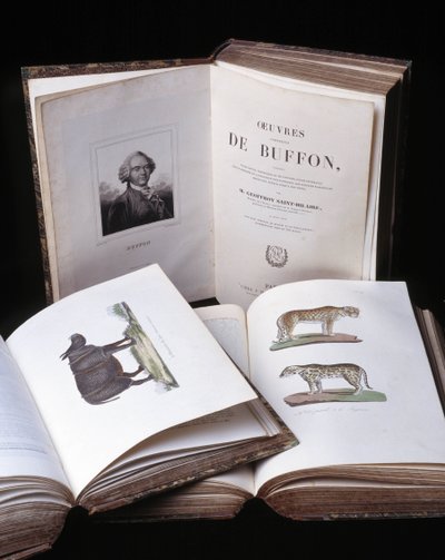 博物学者ビュフォン伯爵ジョルジュ・ルイ・ルクレール（1707～1788）の『ビュフォン全集』の静物画。1837年のエングレーヴィング。 作： Georges Louis Leclerc