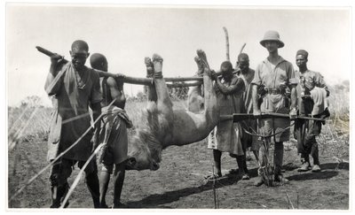 ライオン、バールエルガザール、アムダフォック、1925年（ゼラチンシルバープリント） 作： Georges Marie Haardt