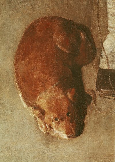 犬と一緒のハーディガーディプレーヤー、c.1620（詳細）（67918も参照） 作： Georges de La Tour