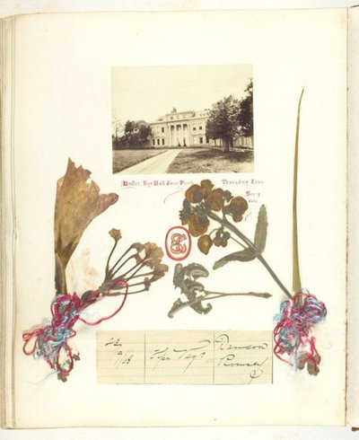 無題 作： Georgina Cowper