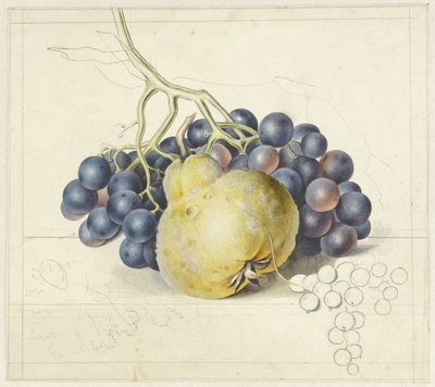 ブドウと梨のある静物 作： Georgius Jacobus Johannes van Os