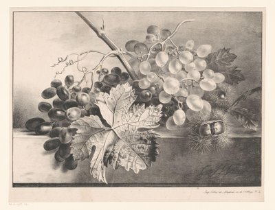 ぶどうと栗のある静物 作： Georgius Jacobus Johannes van Os