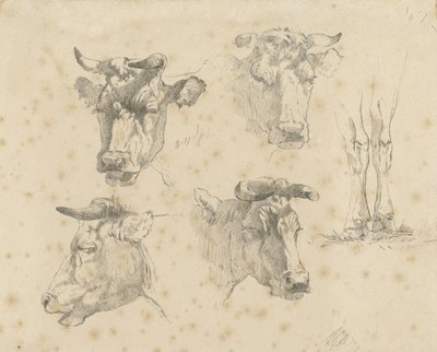 4 つの牛の頭と牛の足の学習シート 作： Gerard Bilders