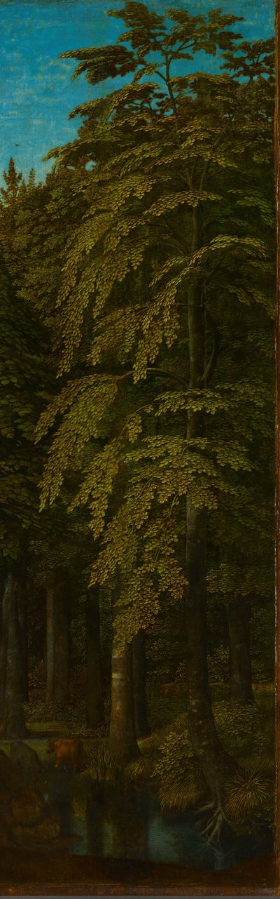 三連祭壇画の外側の右翼、森の眺め、c.1505-c.1515 作： Gerard David