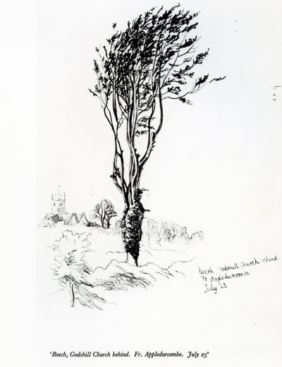 ブナ、ゴッズヒル教会の後ろ。神父Appledurcombe。 7月25日、1860年代 作： Gerard Manley Hopkins