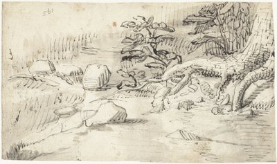 小川近くの木の根の研究 作： Gerard ter Borch (I)