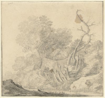 水辺の木々の間の家 作： Gerard ter Borch (II) (possibly)