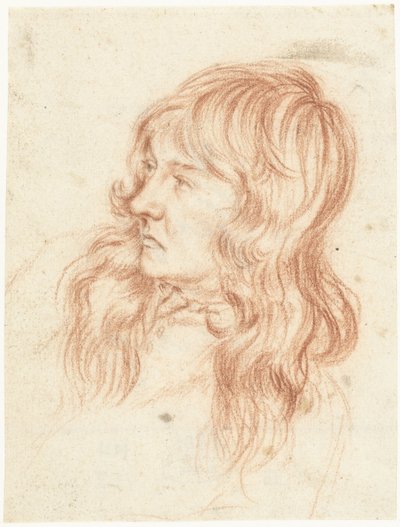 左の若い男性の頭 作： Gerard ter Borch (II)