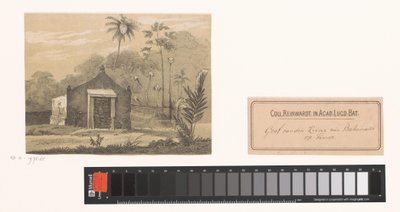 ティモールの皇帝の墓 ティモールのバカナシ皇帝の墓 作： Gerardus Johannes Bos