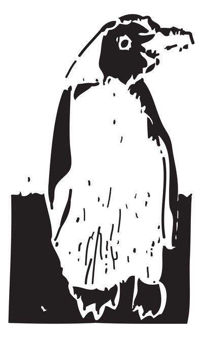 ペンギン 作： Gerhardt Isringhaus