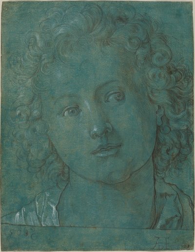 少年の頭 作： German 16th Century after Albrecht Dürer