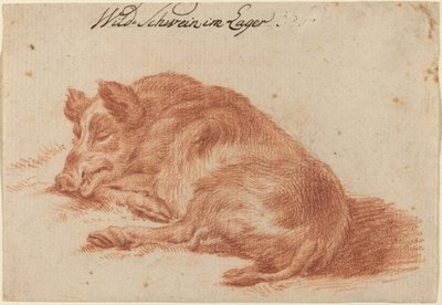 イノシシ 作： German 18th Century