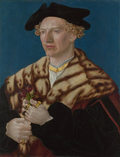 男の肖像、1530年頃 作： German Master