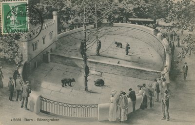 ベルン動物園、クマ園。1913年6月19日に送られた絵葉書。 作： German Photographer