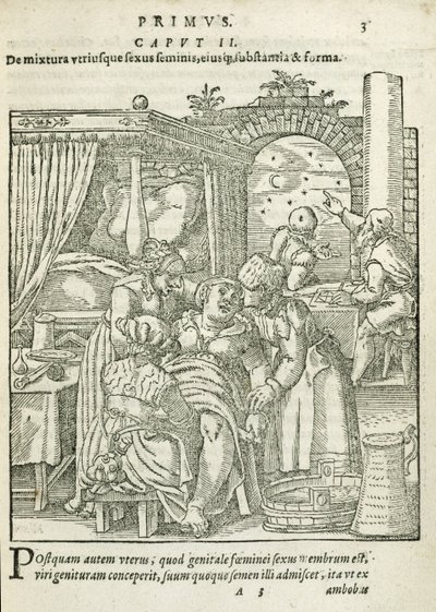 労働者の女性、第2章のイラスト、1587年のルフによる人間の概念と成長のブック1 作： German School