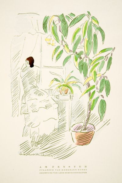 ヘルマン・ローテの植物「Am Fenster」（Styl, pub.1922より）（ポショワールプリント 作： German School