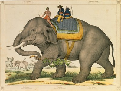 1860年頃、マインツのジョセフショルツが出版した絵の大判を象が狩っていた 作： German School